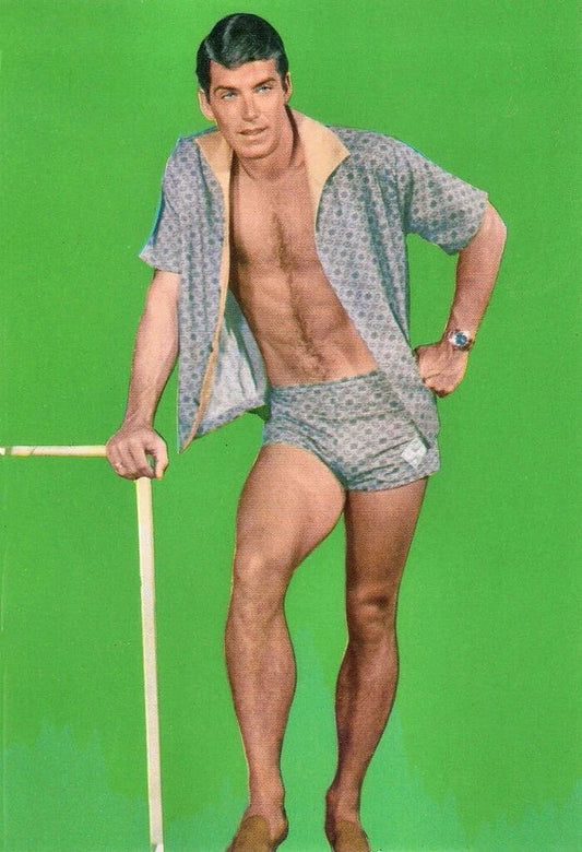 Hollywood Actor Van Williams Classic Picture Poster Photo Print