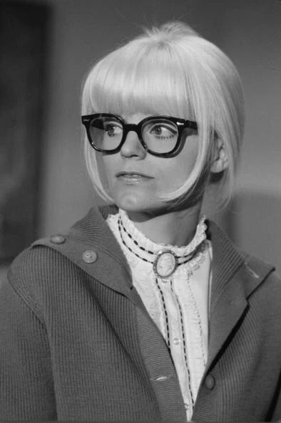 Hollywood Actress Carol Wayne Retro Publicity Picture Magnet Magnet 6X8