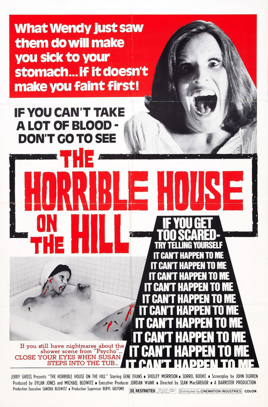 Horrible House On Hill 01 Movie Magnet