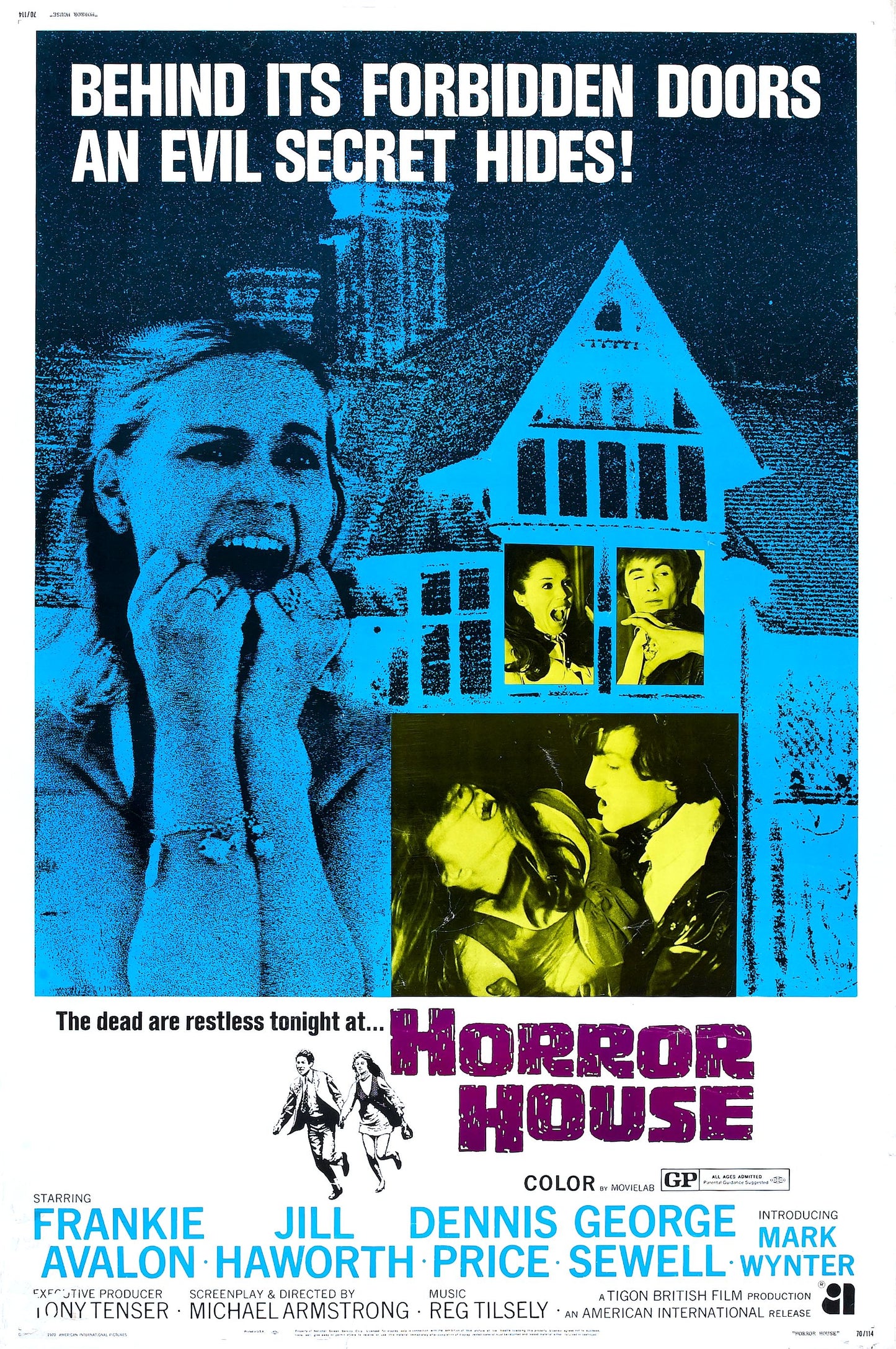 Horror House 01 Movie Magnet
