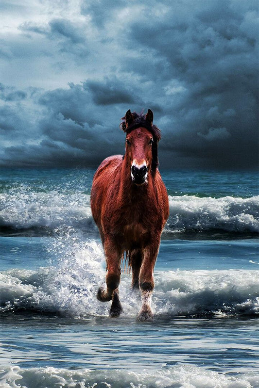 Horse Running On The Sea Domesticated Animal Painting Print Jigsaw Puzzle