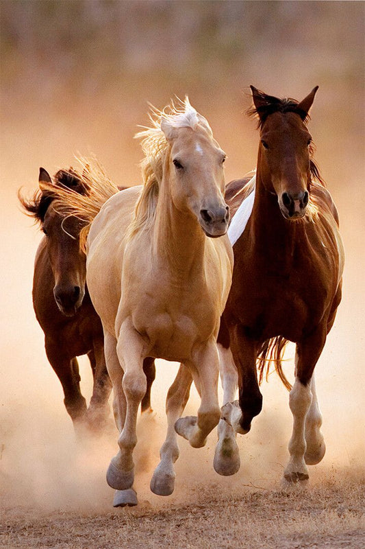 Horses Running Beautiful Animal Print Jigsaw Puzzle