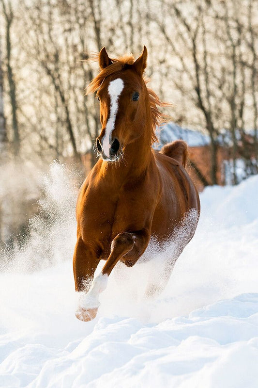 Horses Running On The Snow Quick Animal Painting Print Jigsaw Puzzle