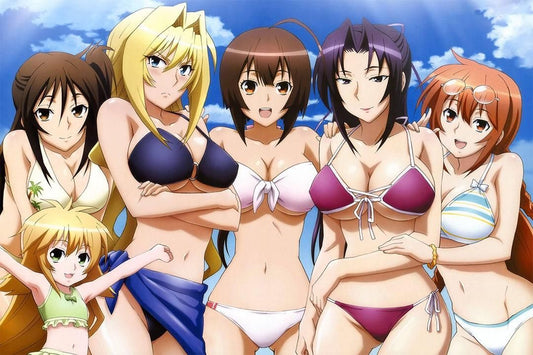 Hot Sexy Girl Japan Anime Sekirei Tsukiumi Musubi Wall Art Home Poster