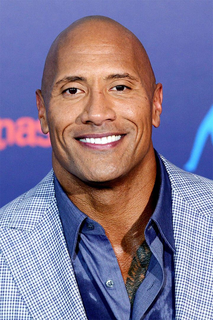 Hot The Rock Dwayne Johnson Artist Print Painting Wall Art Home Poster