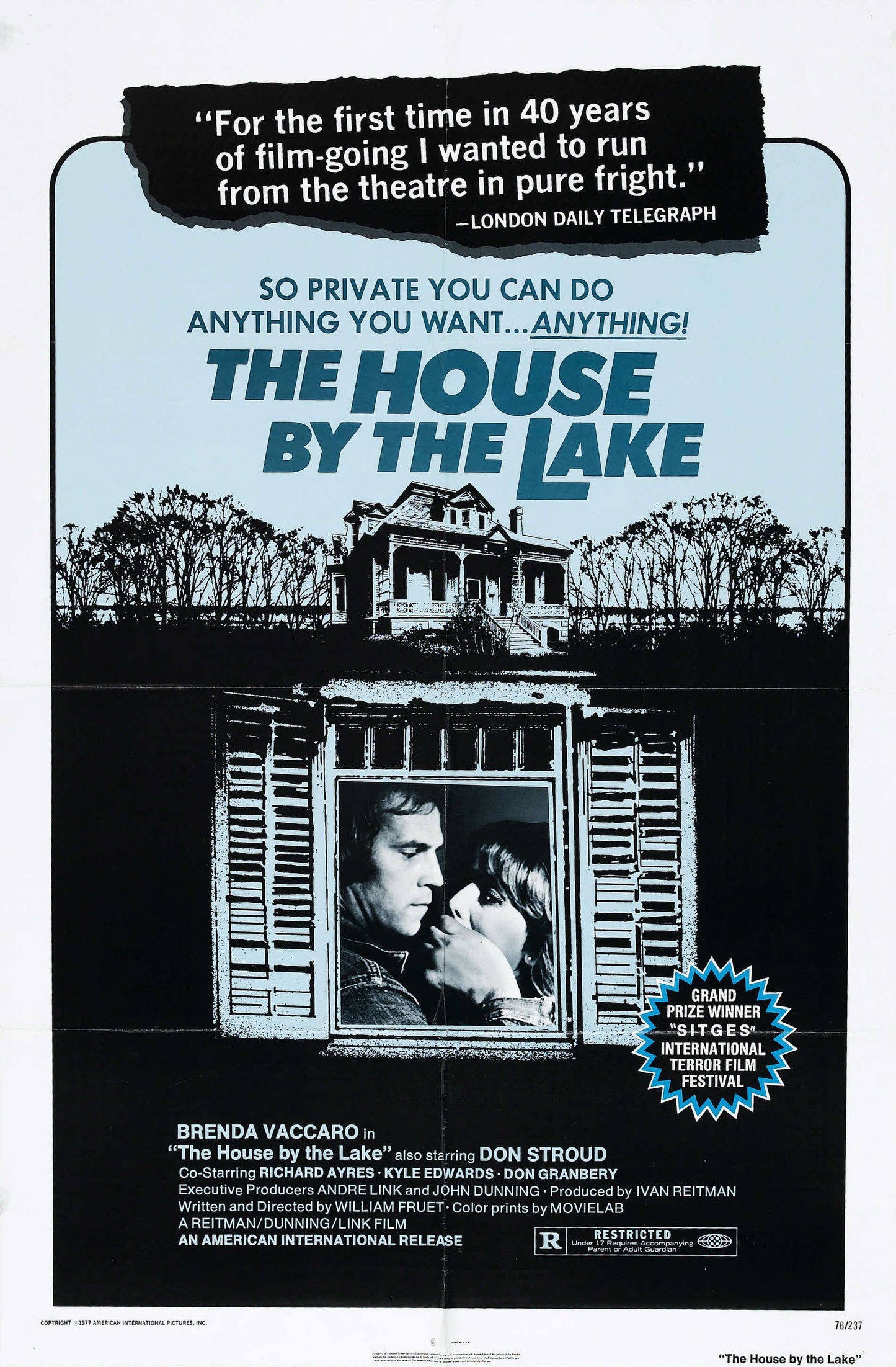 House By Lake 01 Movie Magnet
