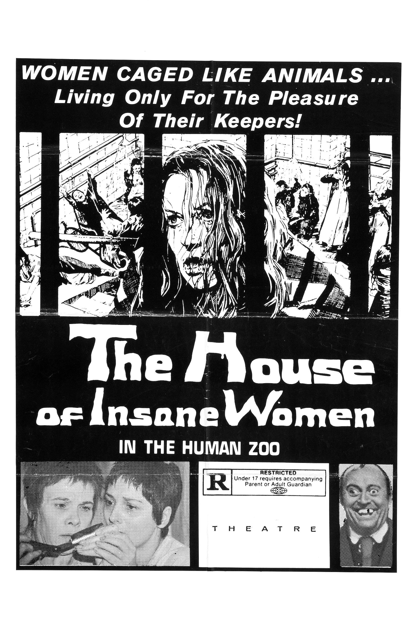 House Of Insane Women 03 Movie Magnet