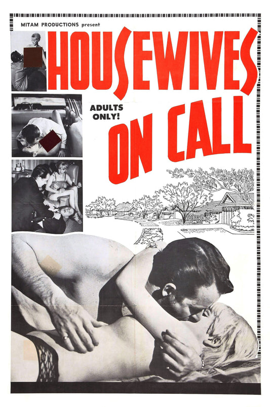 Housewives On Call 01 Movie Magnet