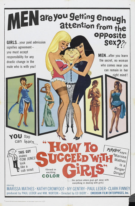How To Succeed With Girls 01 Movie Magnet