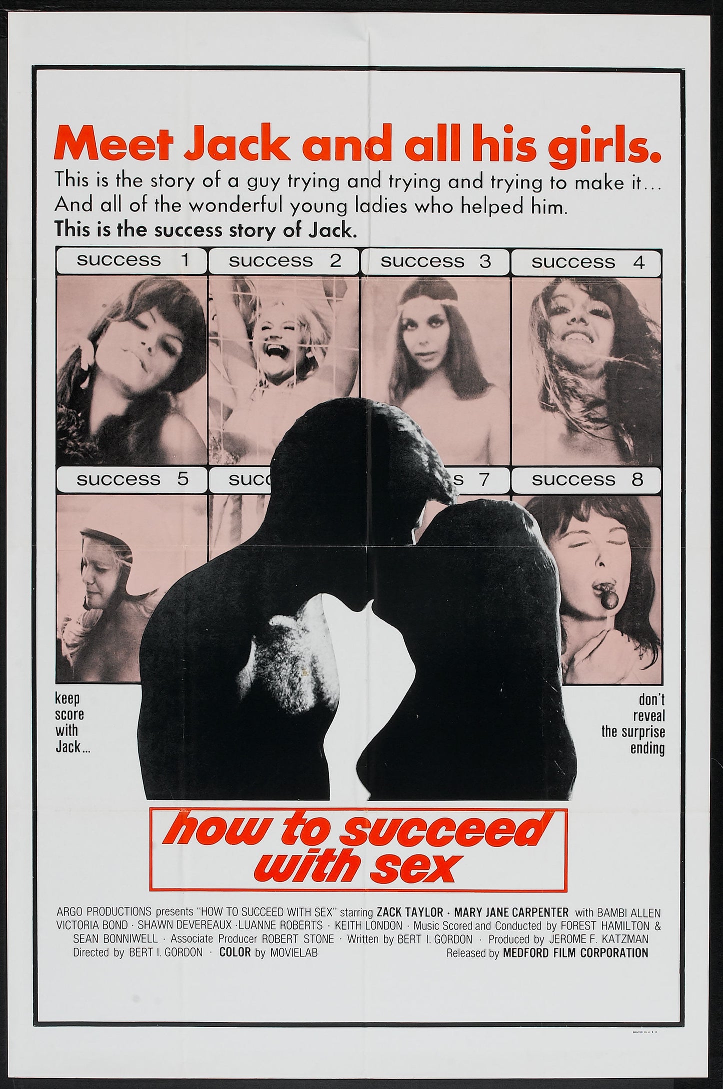 How To Succeed With Sex 01 Movie Magnet