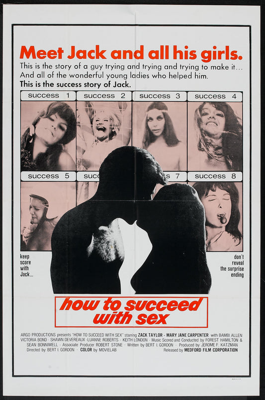 How To Succeed With Sex 01 Movie Magnet