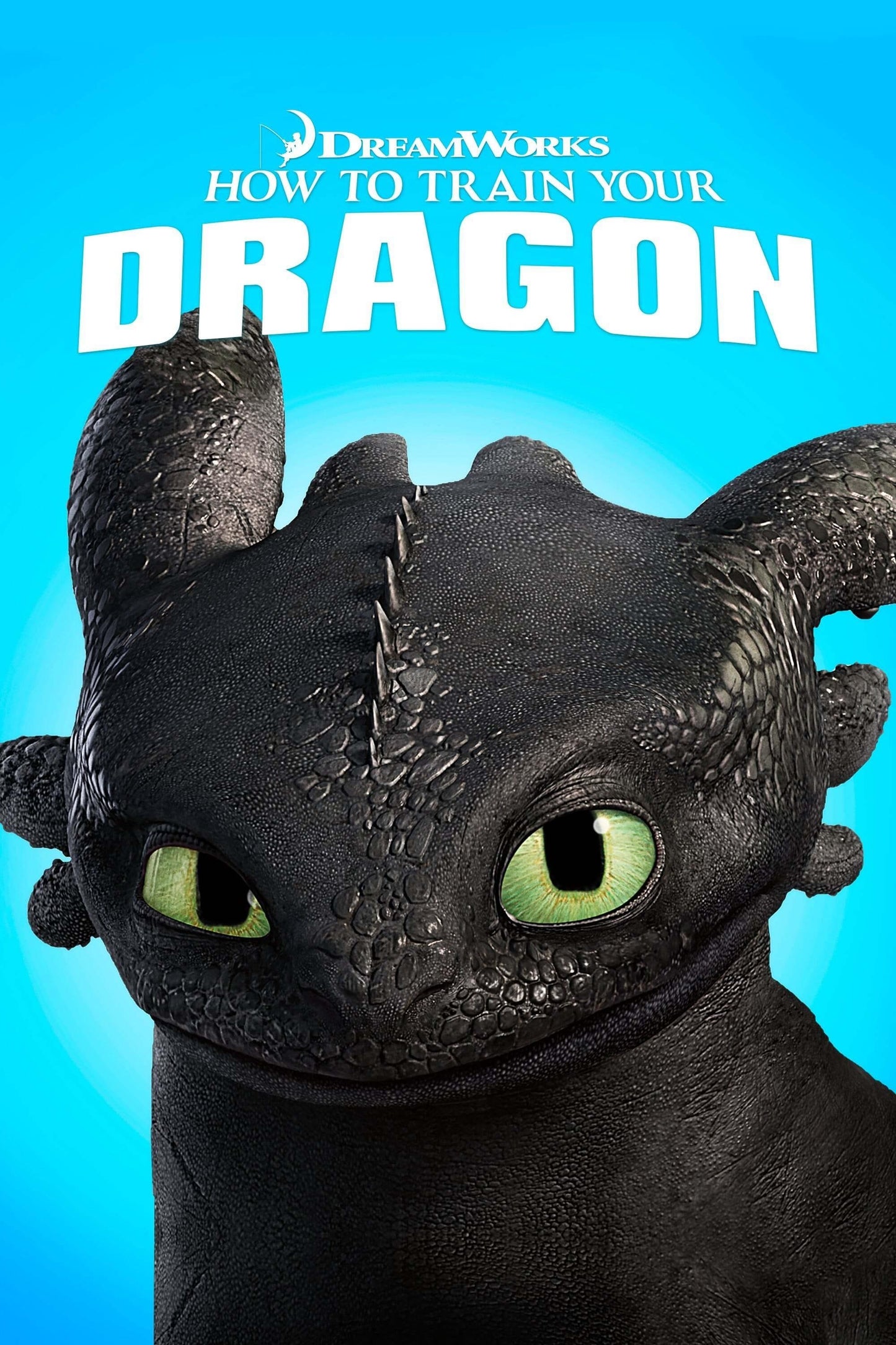 How To Train Your Dragon (2010) Movie Magnet