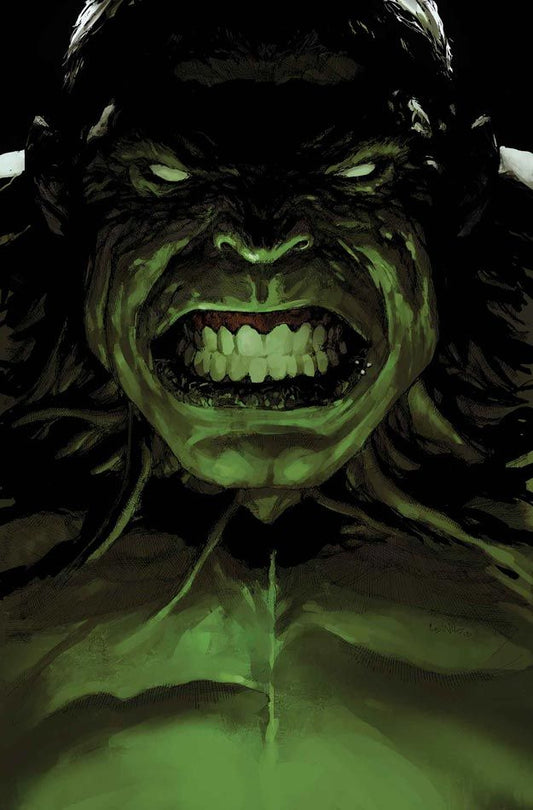 Hulk Portrait Angry Expression Print Poster
