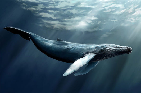 Humpback Whale Ocean Sea Animals Painting Wall Art Home Decor Poster