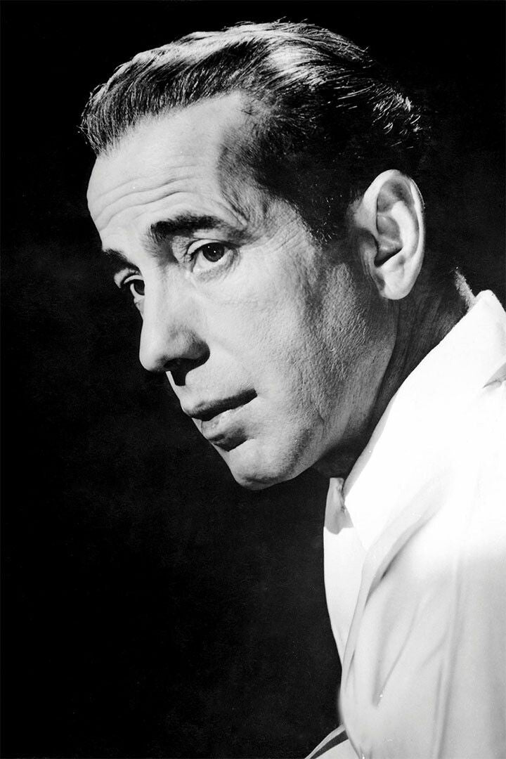 Humphrey Bogart American Actress Painting Wall Art Home Decor Poster