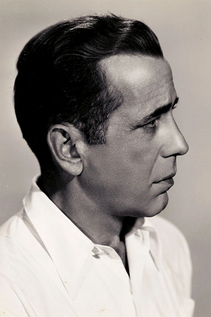 Humphrey Bogart Artist American Actress Print Wall Art Home Decor Poster