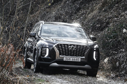 Hyundai Palisade Luxury Car Racing Car Suv Auto Wall Art Home Poster