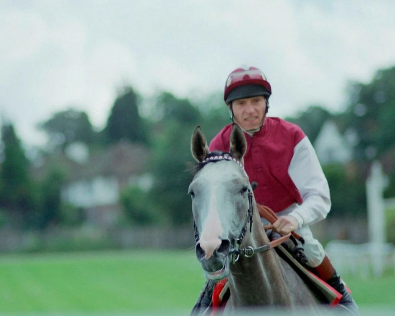 Indian Skimmer Photo Horse Racing Picture Jockey Steve Cauthen