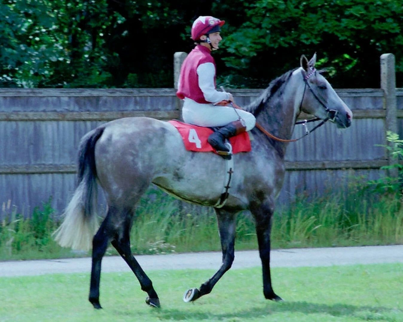 Indian Skimmer Photo Horse Racing Picture Steve Cauthen