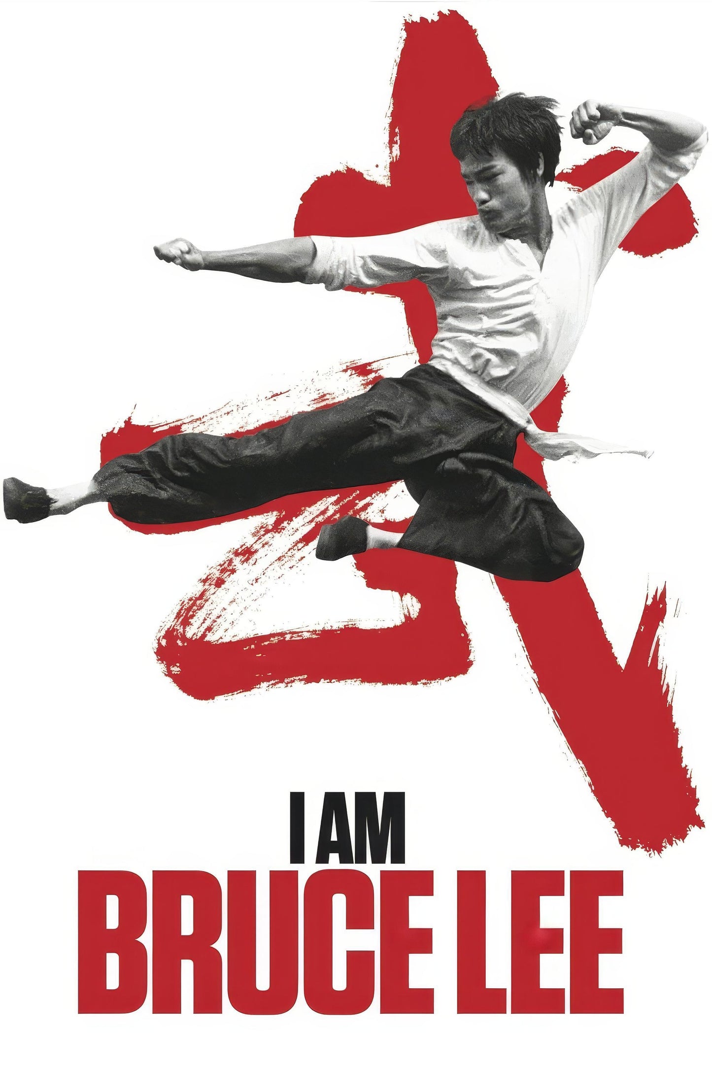 I Am Bruce Lee (2012) Movie Magnet