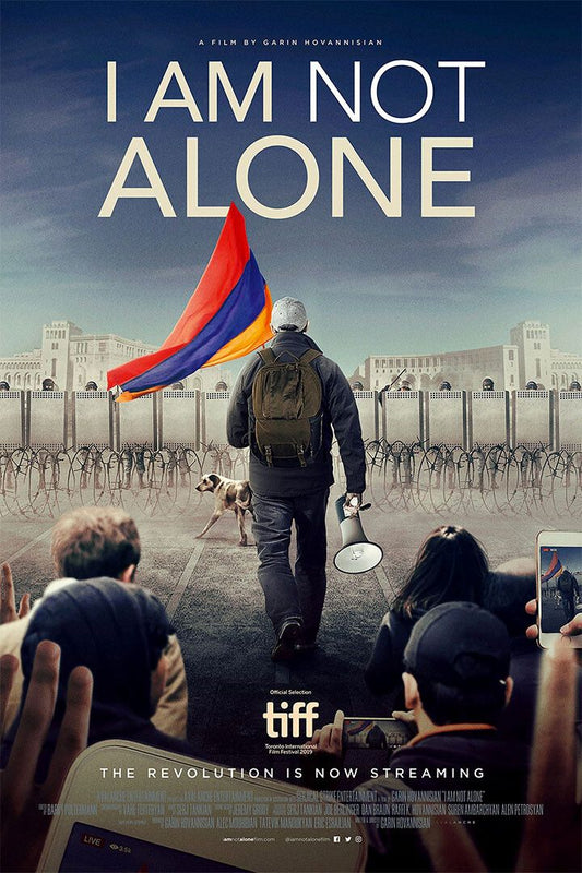 I Am Not Alone Movie Documentary 2020 Painting Wall Art Home Poster