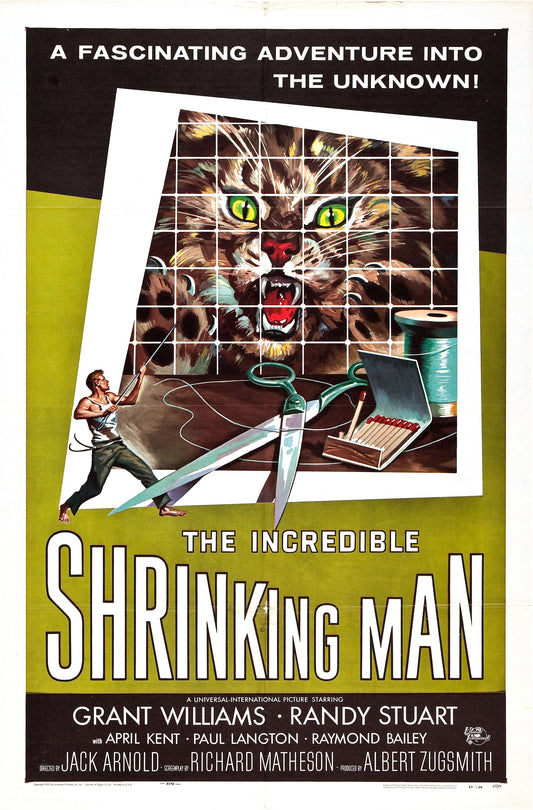 Incredible Shrinking Man 01 Movie Magnet