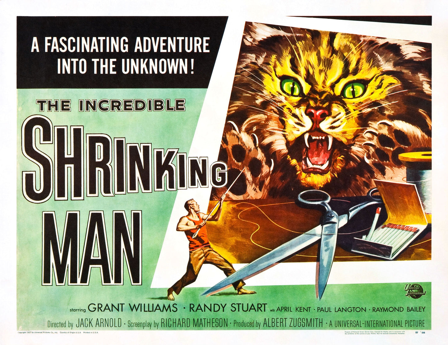 Incredible Shrinking Man 03 Movie Magnet