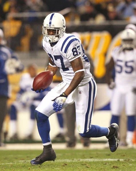 Indianapolis Colts Reggie Wayne Glossy Magnet Football Print