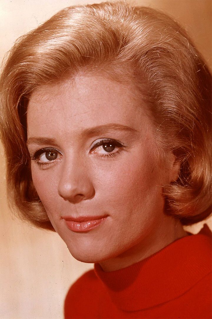 Inger Stevens Sexy Female Model Fashion Print Wall Home Decor Poster
