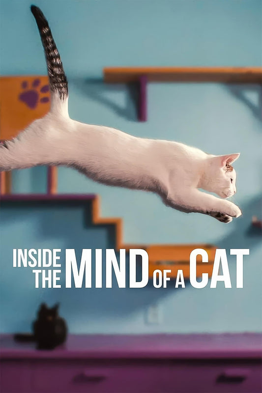 Inside The Mind Of A Cat (2022) Movie Magnet