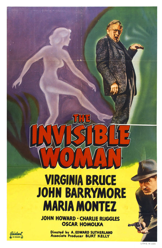 Invisible Woman 01 Movie Magnet