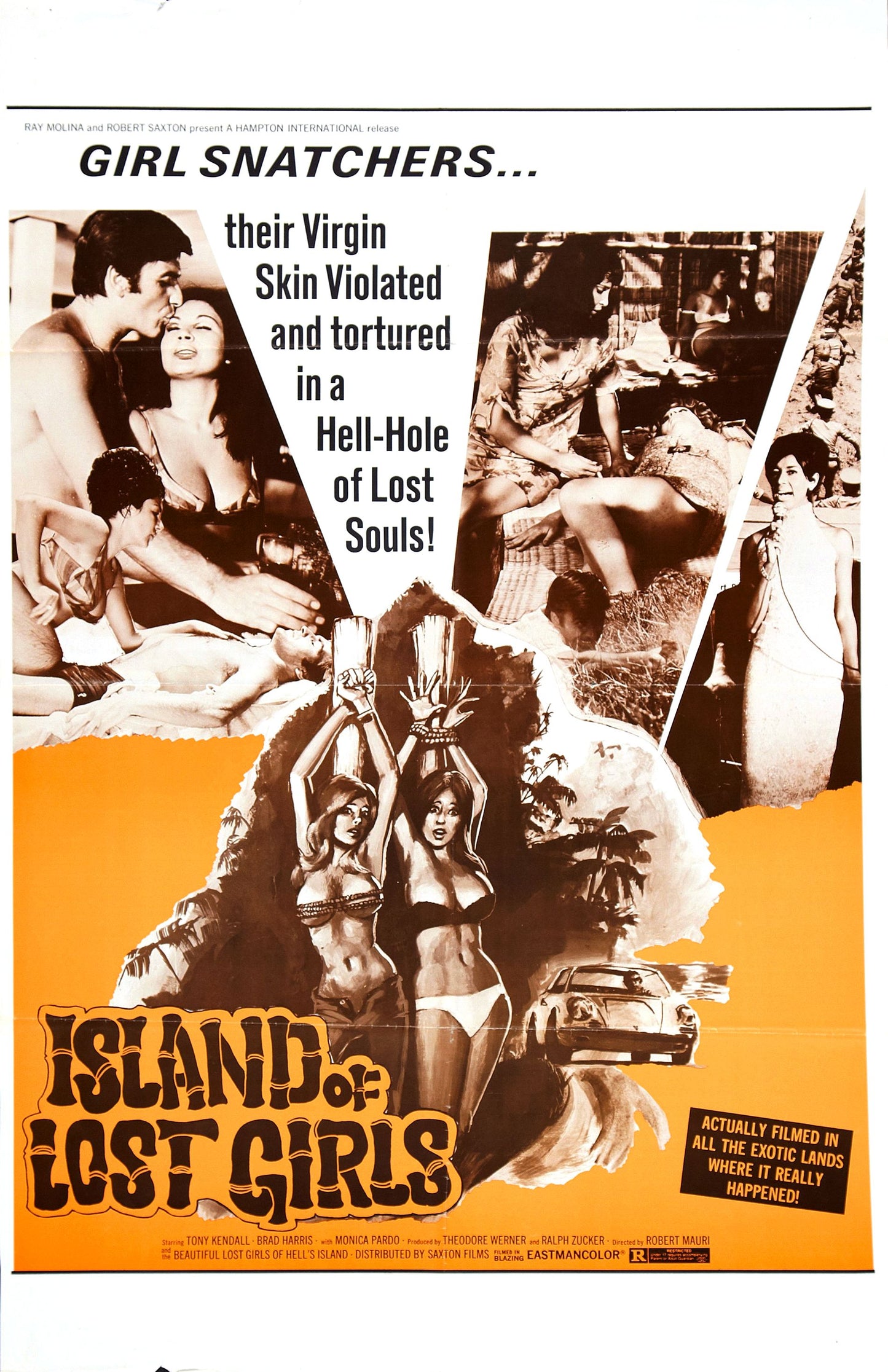Island Of Lost Girls 01 Movie Magnet