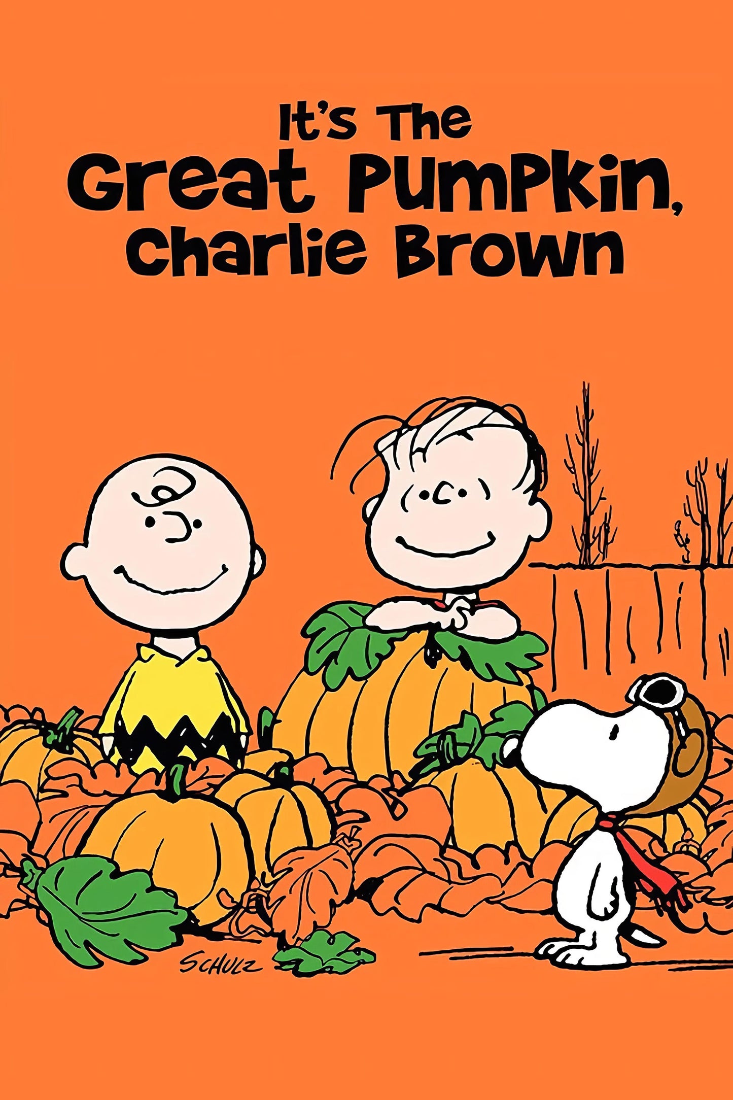 It S The Great Pumpkin, Charlie Brown (1966) Movie Magnet