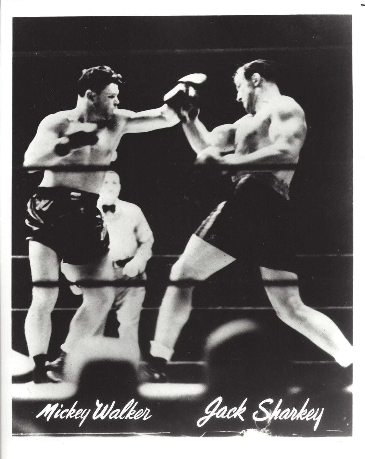 Jack Sharkey Vs Mickey Walker Magnet Boxing Picture