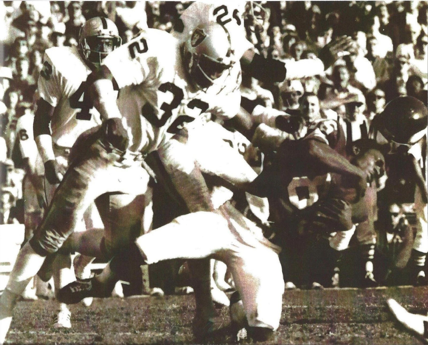 Jack Tatum Photo Oakland Raiders Nfl Football Picture Big Hit