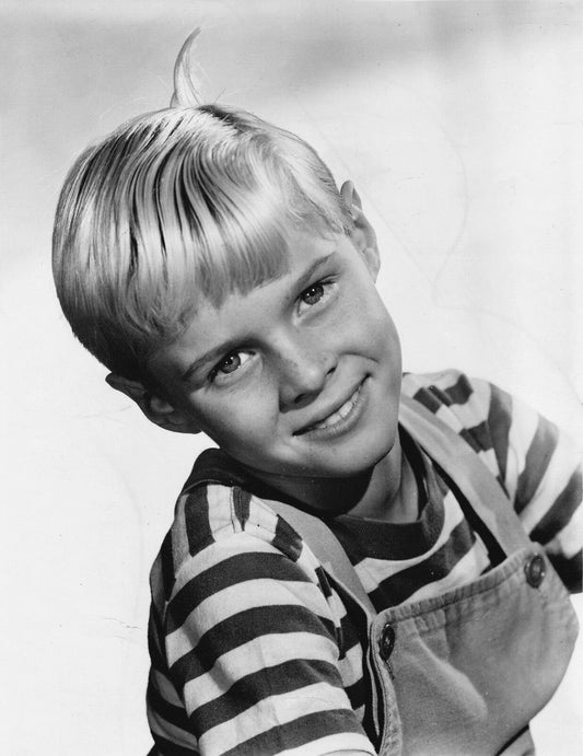 Jay North As Dennis The Menace Classic Television Show Picture Photo