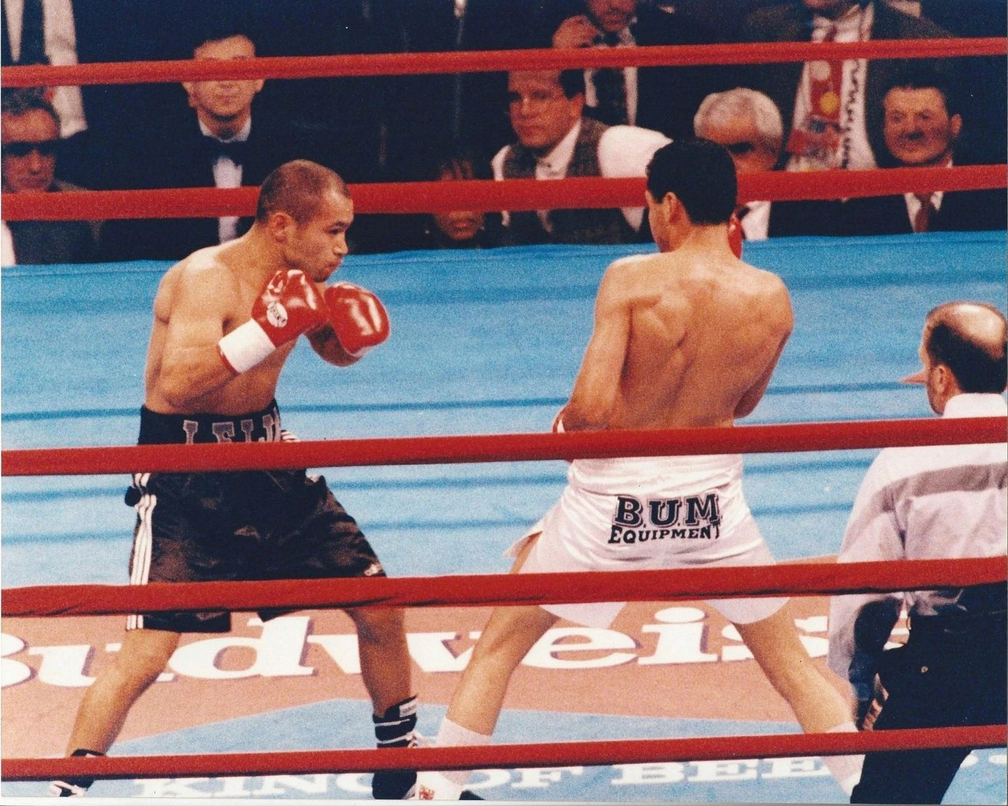 Jesse James Leija Photo Boxing Picture Moving In
