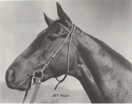 Jet Pilot Photo Horse Racing Picture Jockey