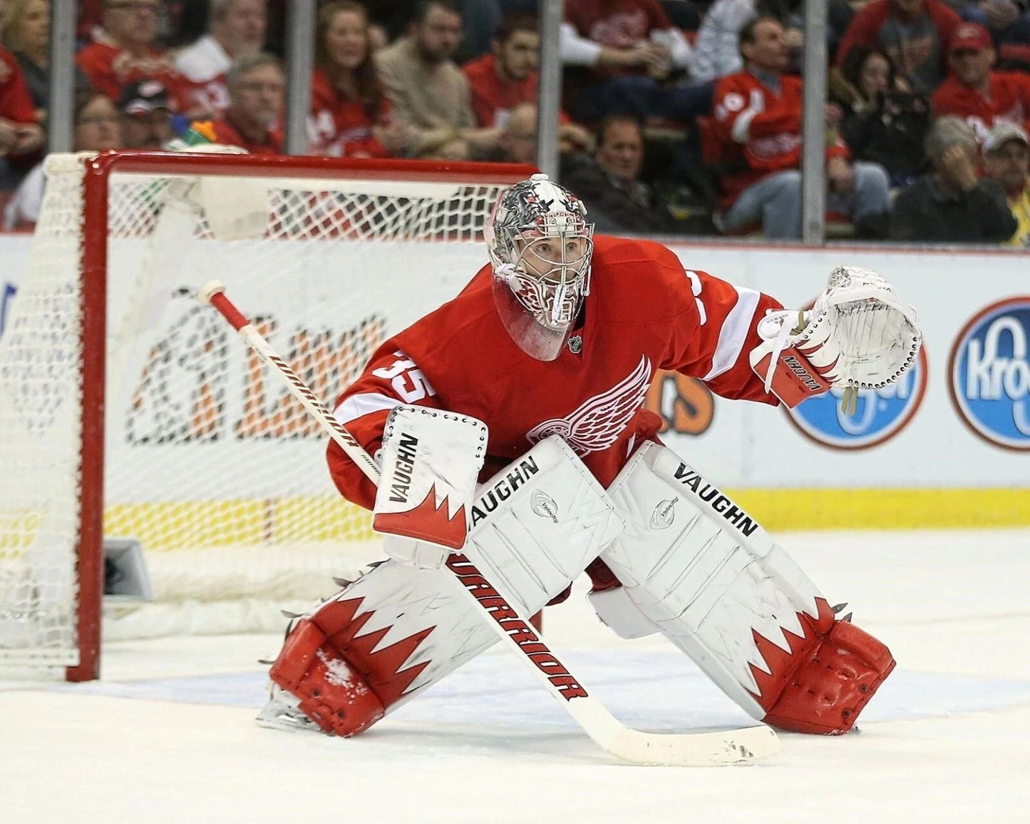 Jimmy Howard Photo Hockey Detroit Red Wings Picture Nhl