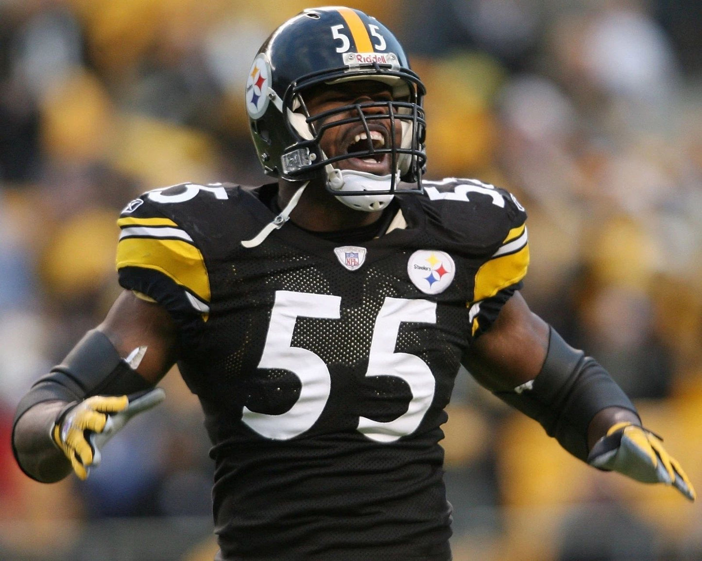 Joey Porter Photo Pittsburgh Steelers Picture Nfl Football Close Up