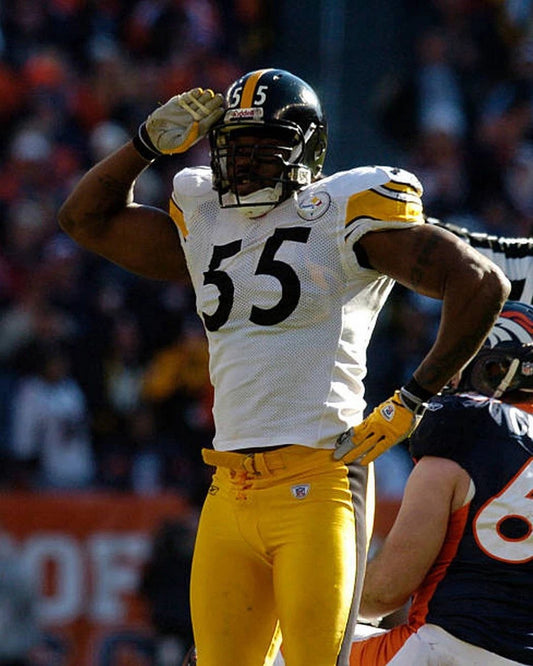 Joey Porter Photo Pittsburgh Steelers Picture Nfl Football Salute