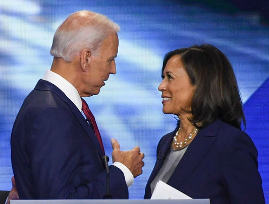 Joe Biden Kamala Harris Poster Picture Photo Print Banner Democrats