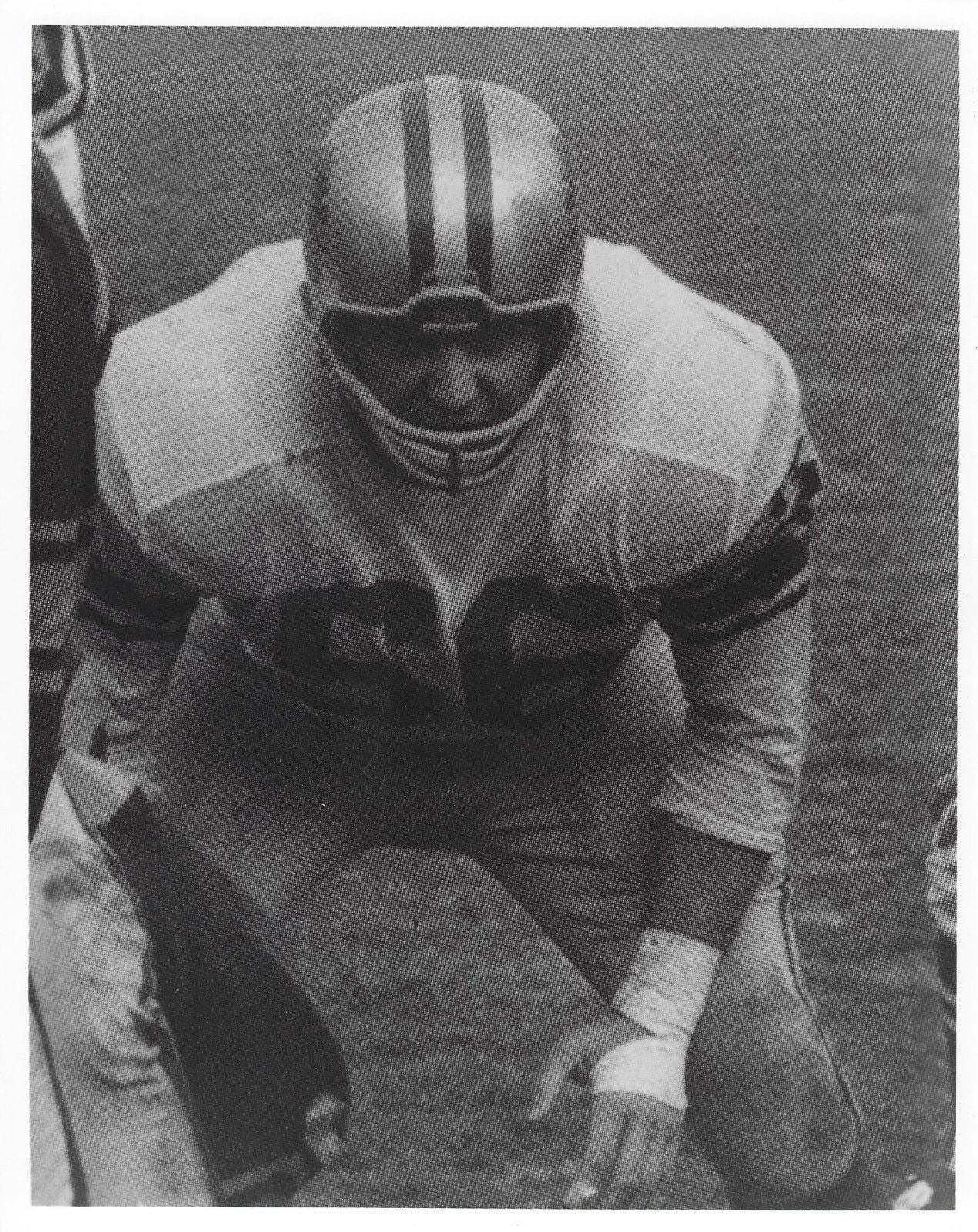 Joe Schmidt Photo Detroit Lions Nfl Football Picture