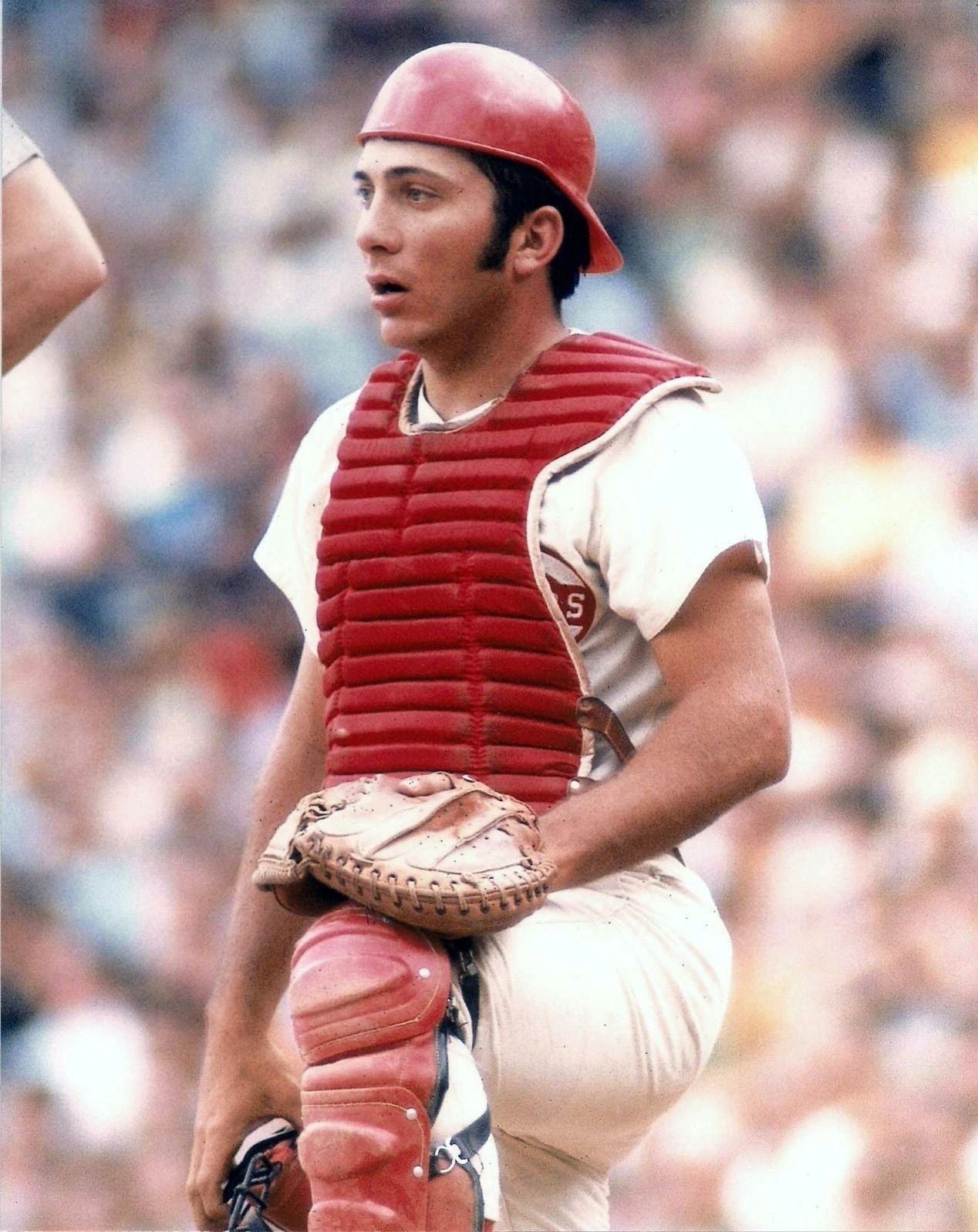 Johnny Bench Photo Cincinnati Reds Baseball Mlb Picture Close Up Color
