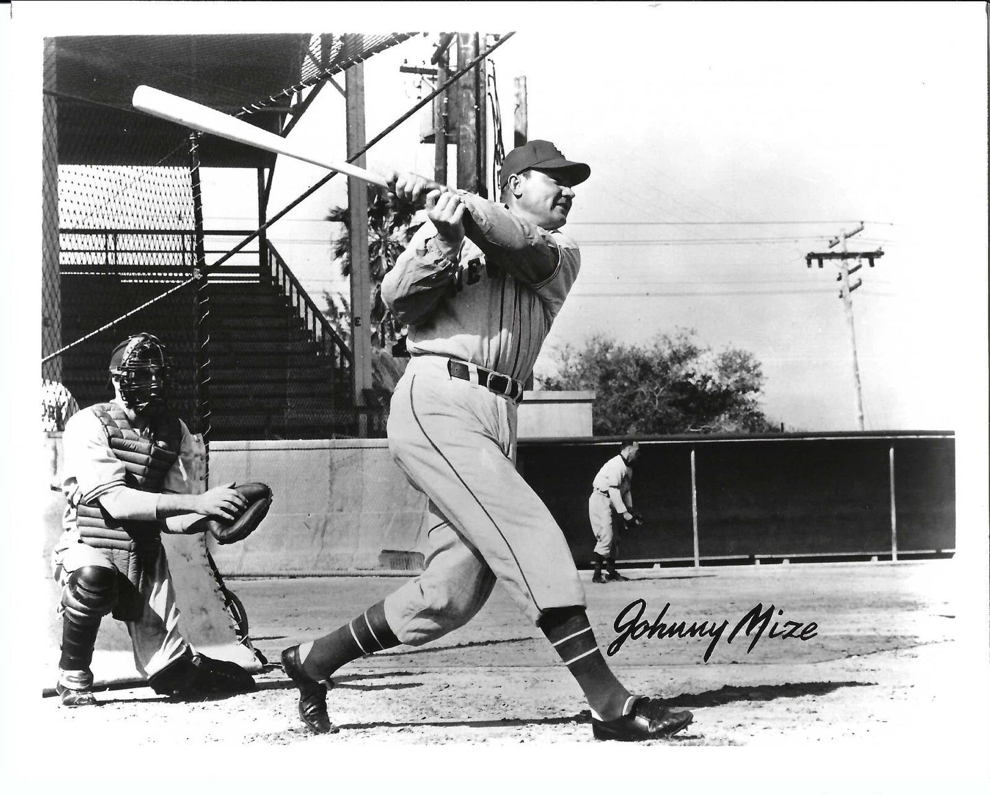 Johnny Mize Photo New York Giants Baseball Picture Ny
