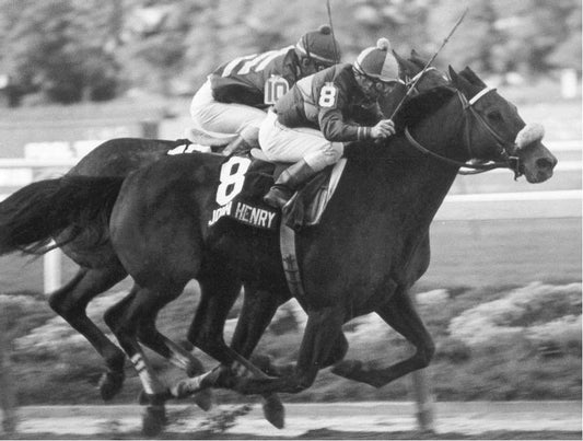 John Henry Photo Horse Racing Picture Jockey