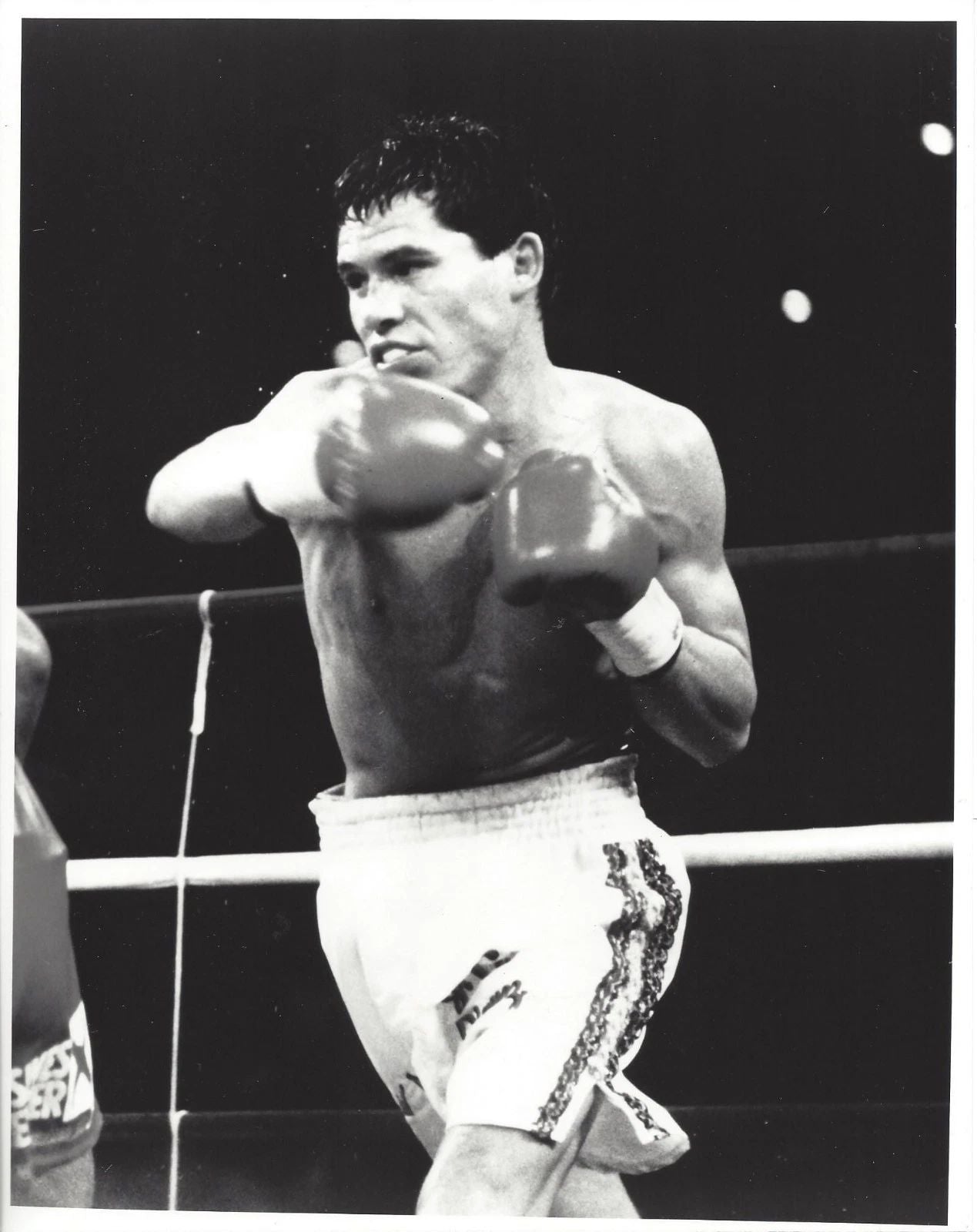 Julio Cesar Chavez Photo Boxing Picture