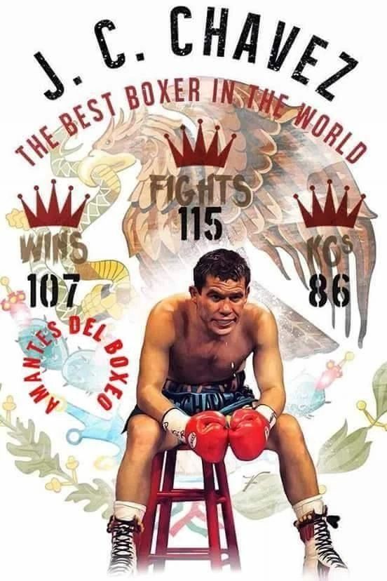 Julio Cesar Chavez Photo Boxing Picture Stats