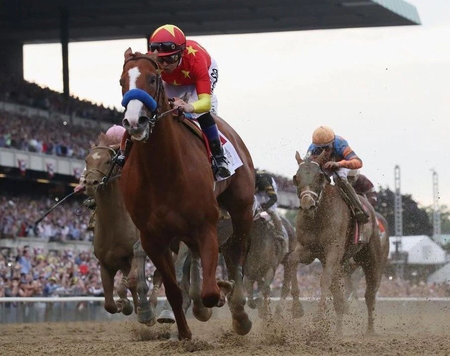Justify Photo Horse Racing Picture Jockey Belmont Stakes Winner