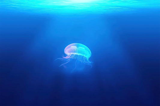 Jellyfish Underwater Water Animals Sea Landscape Wall Art Home Poster